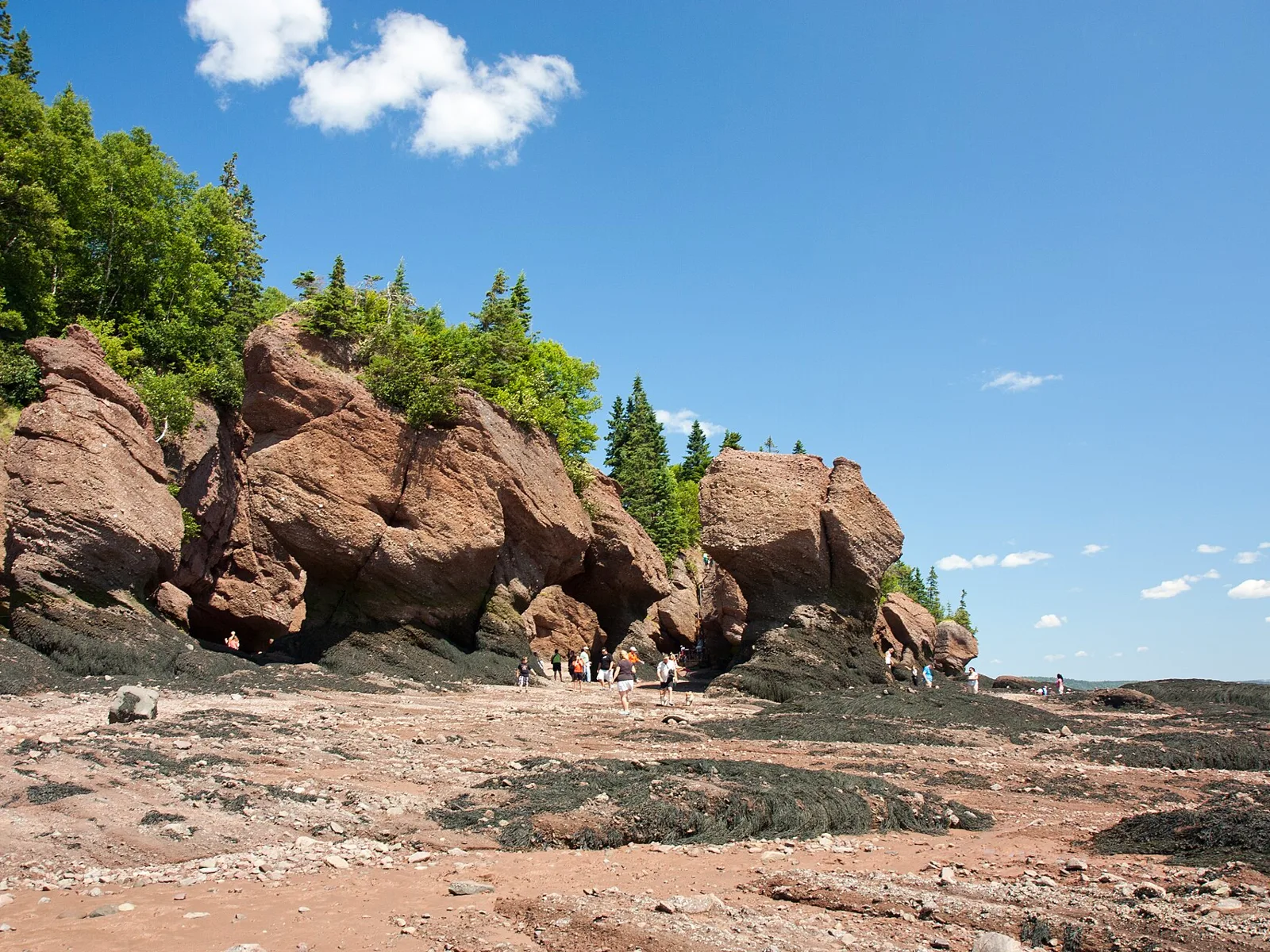 Rock formations along the shore at Hopewell Rocks under a blue sky